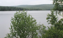 Lake Francis